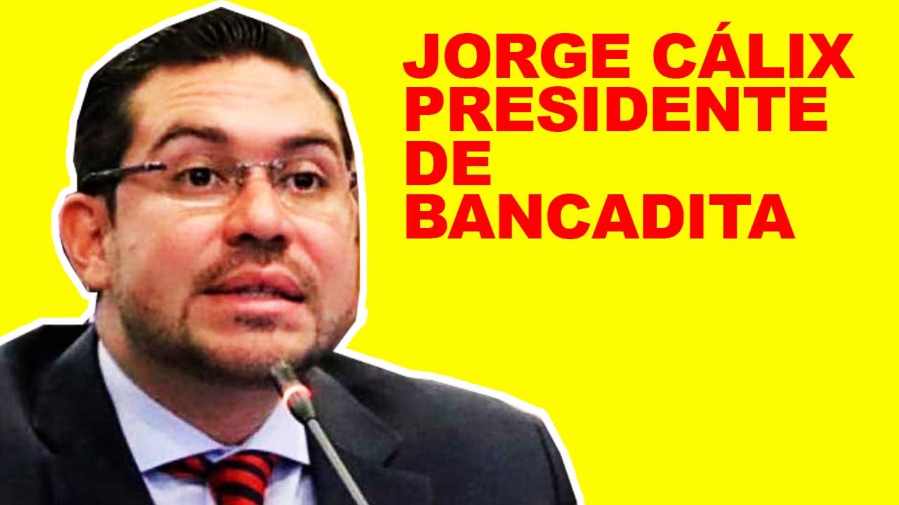 Jorge Cálix sería el presidente de 'bancadita' de Libre formada por miembros del Congreso de los Diputados disidentes